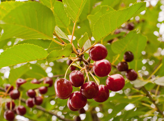 Similar image 748822