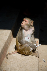 Similar image 748872