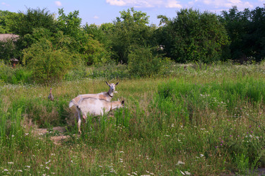 Similar image 748914