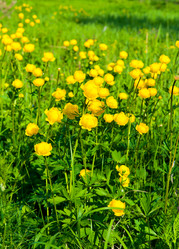 Similar image 748928