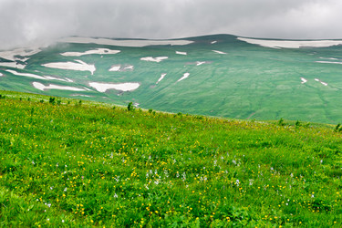 Similar image 748931