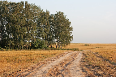 Similar image 748951