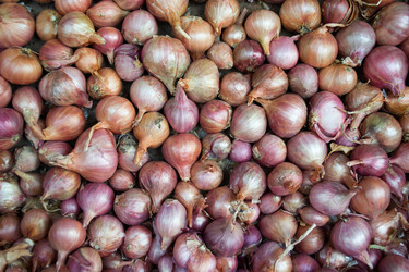 Similar image 748966