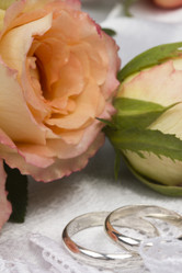 Similar image 748972