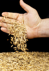 Similar image 748994