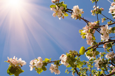 Similar image 749032