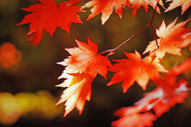 Similar image 749047