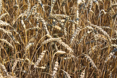 Similar image 749050