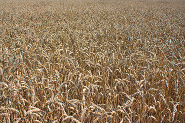 Similar image 749049