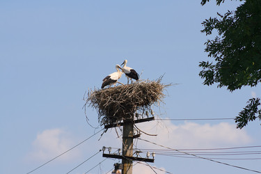 Similar image 749058