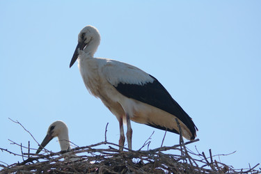 Similar image 749063