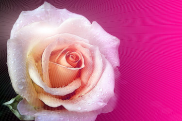 Similar image 749065