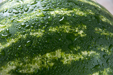 Similar image 749092