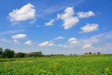 Similar image 749107