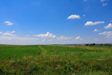 Similar image 749113