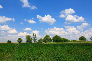 Similar image 749116