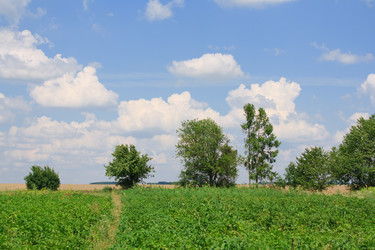 Similar image 749118