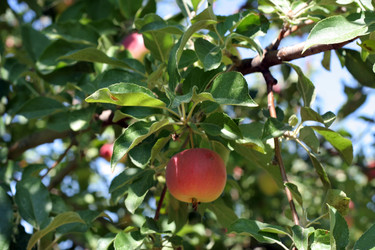 Similar image 749129