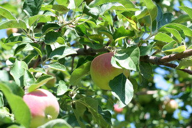 Similar image 749132