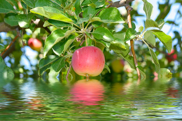 Similar image 749135