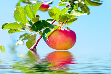 Similar image 749136