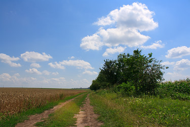 Similar image 749145