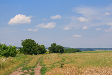 Similar image 749147