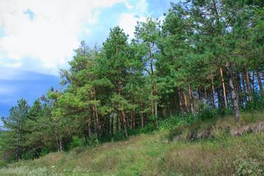 Similar image 749151