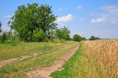 Similar image 749152