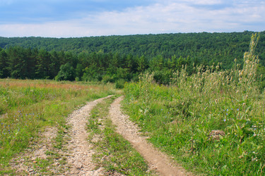 Similar image 749153