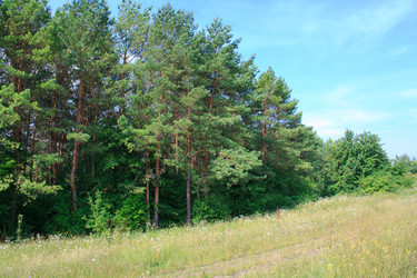 Similar image 749154