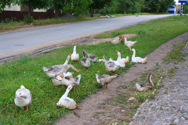 Similar image 749155