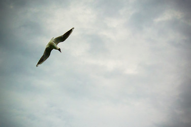 Similar image 749164