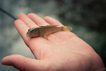 Similar image 749167