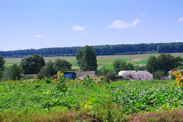 Similar image 749168