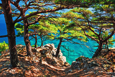 Similar image 749172