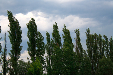 Similar image 749175