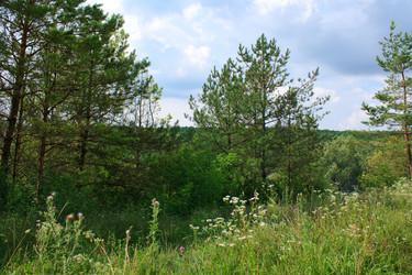 Similar image 749178