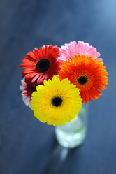 Similar image 749185