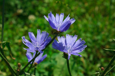 Similar image 749194