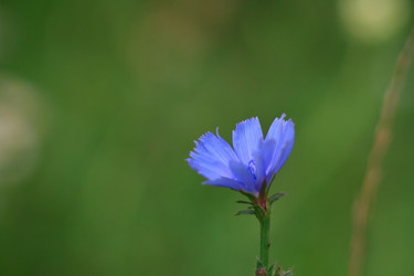 Similar image 749196