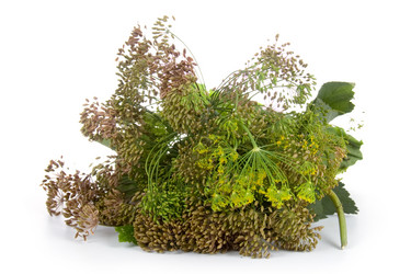 Similar image 749222