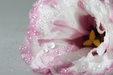 Similar image 749249