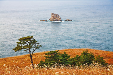 Similar image 749255