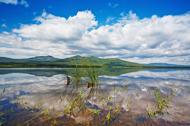 Similar image 749271