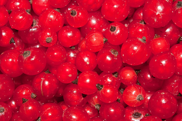 Similar image 749277