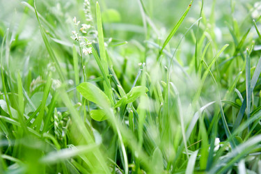 Similar image 749289