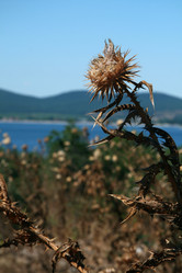 Similar image 749294