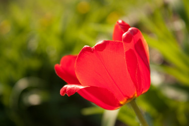 Similar image 749299