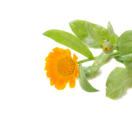 Similar image 749305